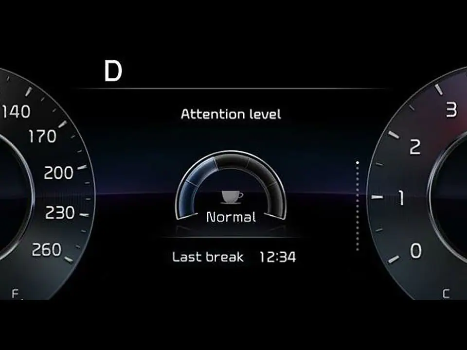 Driver Attention Warning (DAW)