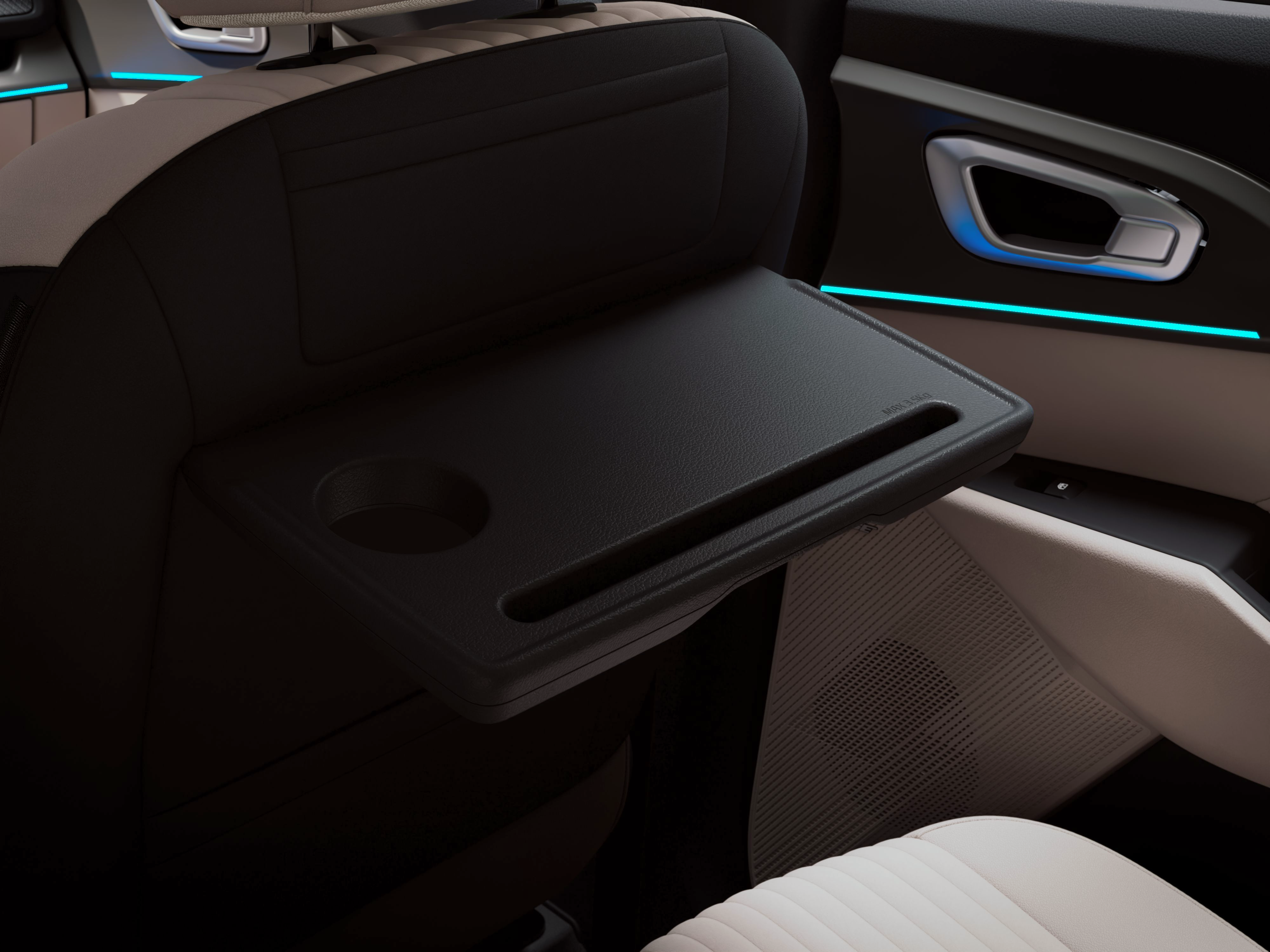 Rear Seat Tray Table